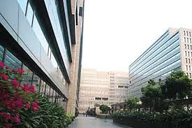 AstraZeneca Pharma India Reports 33% YoY Revenue Growth Filing Report
